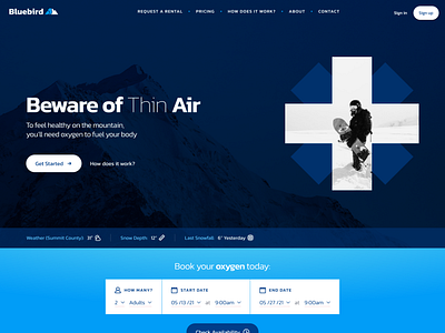 Bluebird Oxygen Homepage