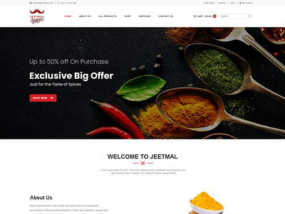 Jeetmal Spices Website design graphic design ui