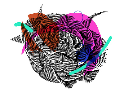 Fun Color Floral art chicago color design drawing icon illustration style texture
