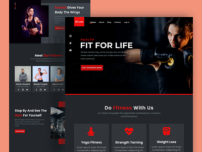 Fitness Website