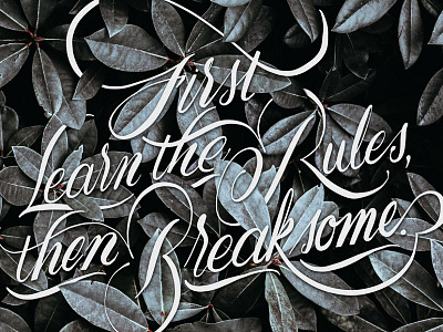 Break the Rules calligraphy design hand lettering lettering script type typography