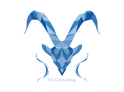 NC Consulting LOGO DESIGN adobe illustrator consulting logo logo logo design logo design branding vector graphics