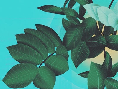 Fresh Leaves #2 designer digital illustration ipad pro motion procreate