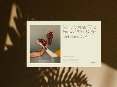 Herbal Wine: Web branding landing page logo ui web website wine branding