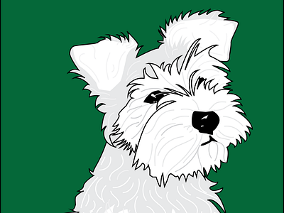 Schnauzer