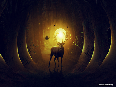 Secret Forest art artwork deer digitalarts fantasy forests photomanipulation wallpaper