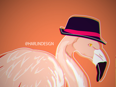 Handsome Flamingo Take a Selfie