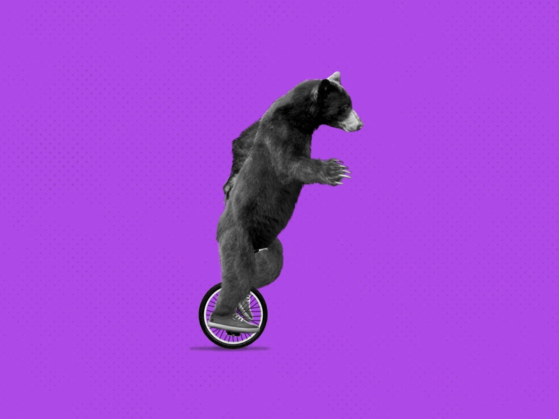 The bear and the unicycle animation bear loop motion design motion graphics unicycle