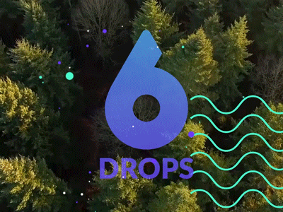 6 drops