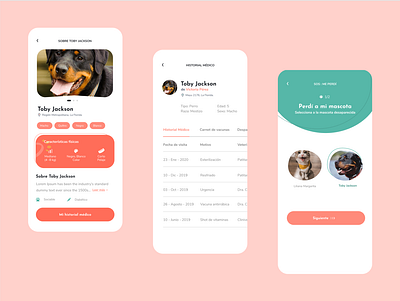 Proyecto Cholito animal app ui pet