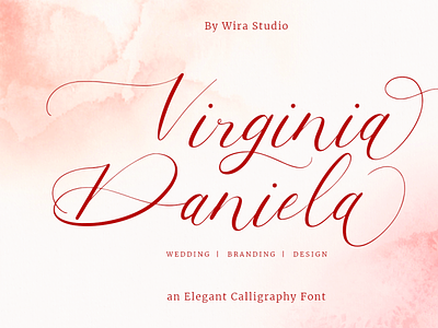 Virginia Danela - Script Calligraphy Font branding calligraphy elegant feminine modern font script font wedding