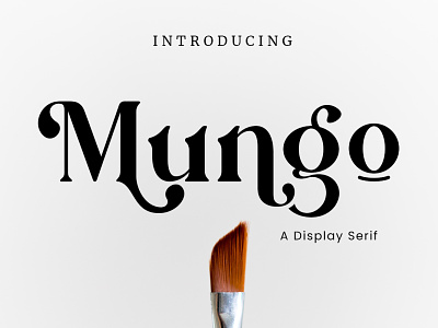 Mungo Display Font branding design display elegant feminine font illustra illustration logo modern serif