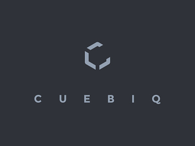 Cuebiq branding data intelligence logo new york city