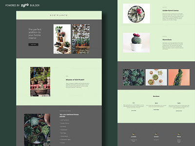 Eco Plants Website Design branding business design homepage landing page minimal ui ux website builder website design