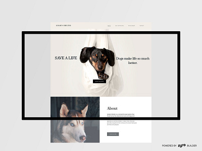 Animal Shelter Website Design animal business businesscard design homepage landing design landing page landing page design minimal nonprofit template ui ux website website builder website concept website design website development website template zyro