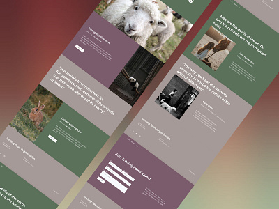 Animal Welfare Organization Website Design