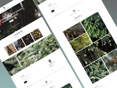 E-shop Website Design branding business christmas design eshop green homepage landing page minimal minimalism minimalist minimalistic mistletoe spruce ui webdesign website website builder website design wildlife