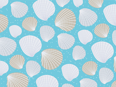 Seashells - Illustration design editorial art illustration illustrator sea