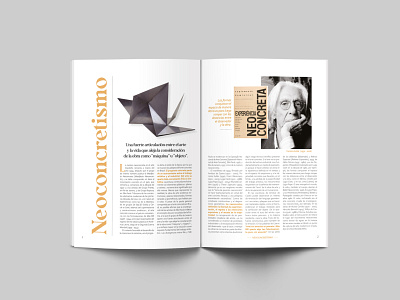 Neoconcretismo - Editorial design