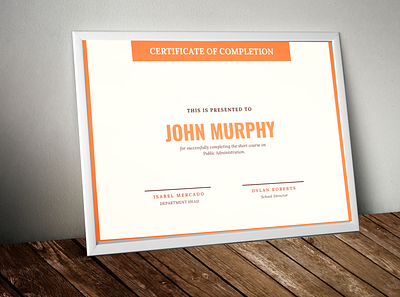 Certificate of Completion certificate design design illustration