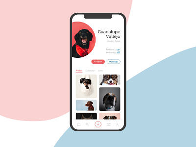 User Profile app dailyui design dogs profile ui ui design user profile
