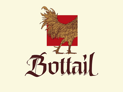 Bottail alcohol brand calligraphy curves gothic lettering logo logotype parallel pen type typeface typography