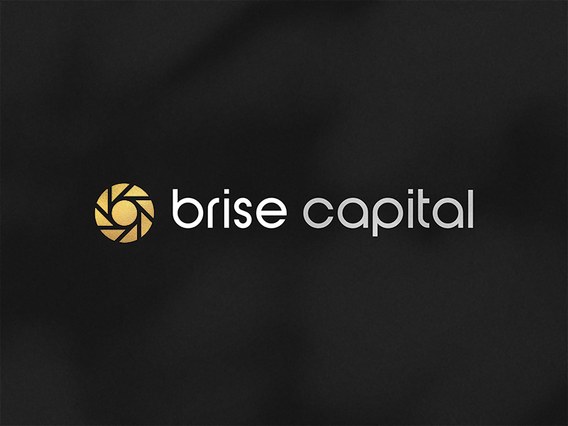 Brise Capital branding business dark gif gold identity lettering logo logotype rise shadow sun type typeface