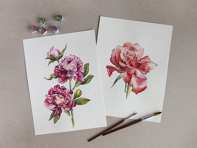 Peonies and rose watercolor