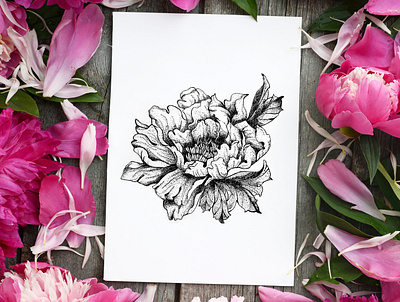 Pion. Dotwork botany dotwork flower flowers illustration freehand drawing gel pen liner nature picture tattoo