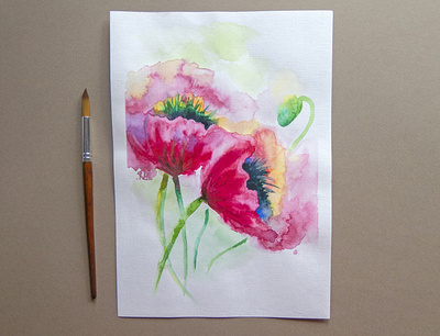 Poppies flowers botany flower flowers flowers illustration freehand drawing illustration nature picture poppies poppy watercolor