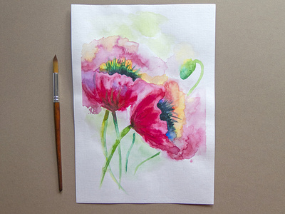 Poppies flowers