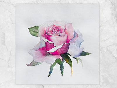 Rose watercolor by Olga on Dribbble