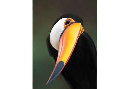 Toucan bird design drawing illustration nature picture realism toucan ui