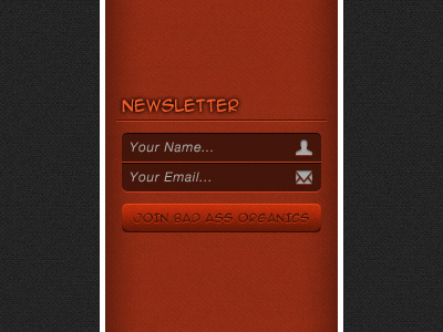 Newsletter Signup Form