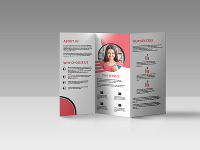 Try-fold Brochure branding brochure design illustration