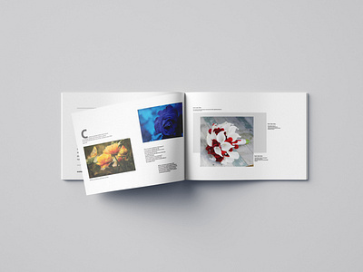 Landscape Brochure