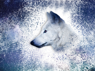 Wolf lost in Space album art animal animals graphic design photoshop space space wolf wolf