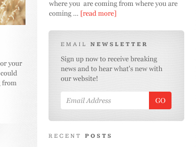 Email Sign Up blog broderick gradient grey noise red studiopress theme