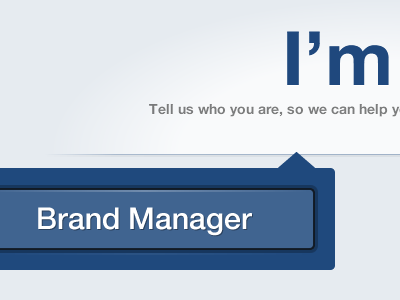 Brand Manager big blue button simple