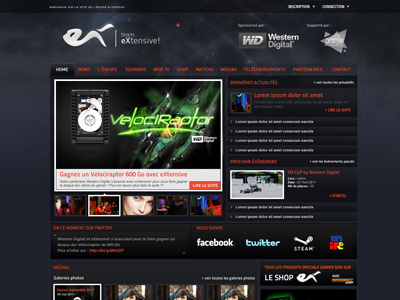 Team eXtensive! Final Design extensive gallery interface ui web webdesign