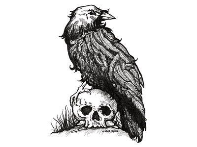 The Raven bird details drawing feathers halloween illustration ink micron pen raven skull