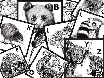 Hand Illustrated Animals A-Z alphabet animals drawing hand drawn illustration ink microns pen and paper