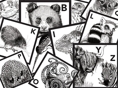 Hand Illustrated Animals A-Z