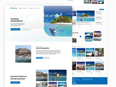 Homepage Marine Tourism