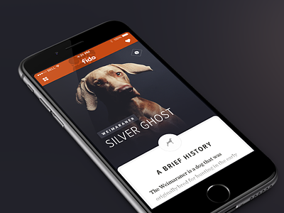 Fido - Mobile clean dog editorial history ios8 iphone6 layout minimal research search