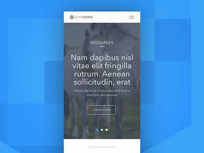 Landing Page on Mobile