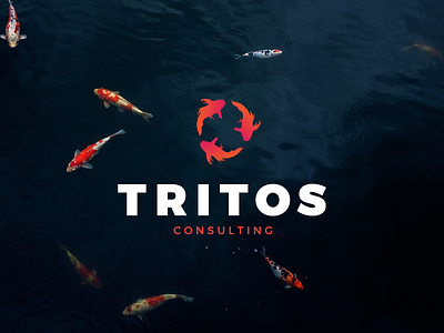 Tritos Consulting branding consulting design fish illustrator koi fish logo security technology web