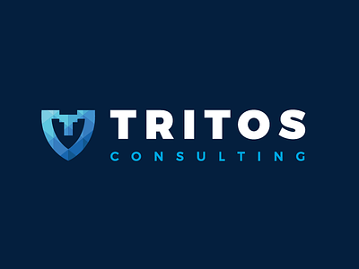 Tritos Consulting Pt 2 branding consulting design illustrator logo security shield technology web
