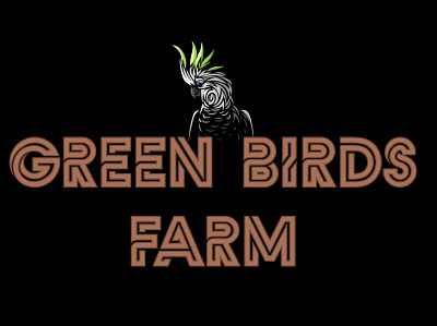 Birds Farm branding design illustration logo typography