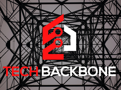 TECH BACKBONE brand logo branding business logo crypto logo custom logo cyber security logo design illustration logo logo design minimalist modern logo software logo startup tech logo technology logo
